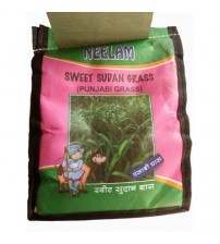Neelam Sweet Sudan Grass